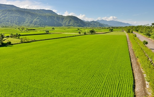 土壤養(yǎng)分等級(jí)分級(jí)標(biāo)準(zhǔn)，土壤養(yǎng)分檢測儀檢測土壤處于哪個(gè)標(biāo)準(zhǔn)