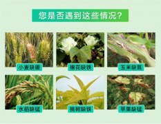 多功能型土壤養(yǎng)分速測(cè)儀什么品牌靠譜？